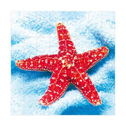 Фотопанно FT-SERA FS030