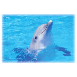 Фотопанно FT-SERA FS014