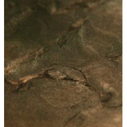 Натуральный камень Matrix