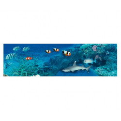 Фотопанно FT-SERA FS051