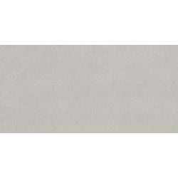 Деталь LF01 30x120 Непол.  (LF01)