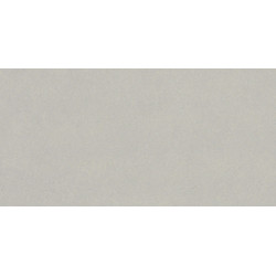 LF01 30x120 Непол.Рект.  (LF01)