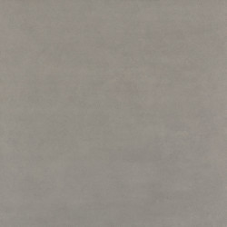 LF02 60x60 Непол.Рект.  (LF02)