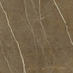 Керамогранит Marmori Пулпис Бронзовый ЛПР 60х60  (K945333LPR01VTE0)