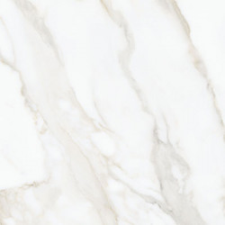 Керамогранит Nocturne White Gold FLPR 60х60 (K2660ZN2P0010)