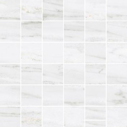Мозаика Palissandro Белый (5х5) 30х30  (K9455978LPR1VTE0)