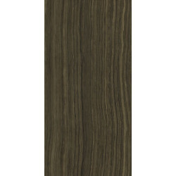 Керамогранит Серфейс Эрамоза 60х120 люкс (610015000386)