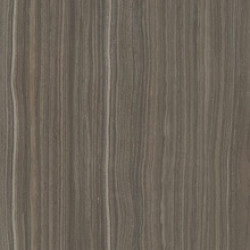 Керамогранит Serpeggiante Коричневый 7ФЛПР 60х60  (K947861LPR01VTE0)