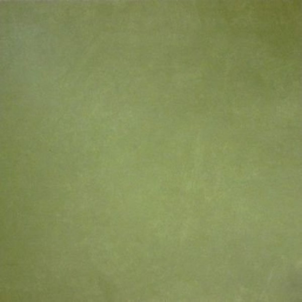 ANARCHY GREEN NATURAL (-8431940208782-) 59,55x59,55 Керамогранит