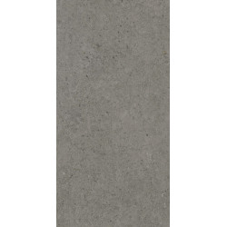 CONCEPT ANTHRA SOLID 2 CM (-8431940311178-) 49,75x99,55 Керамогранит