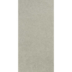 CONCEPT GREY SOLID 2 CM (-8431940318139-) 49,75x99,55 Керамогранит