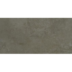 EVOLUTION MOSS LAPPATO (-8431940185991-) 29,75x59,55 Керамогранит