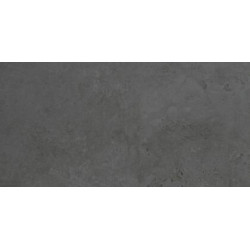 EVOLUTION BLACK LAPPATO (-8431940186035-) 29,75x59,55 Керамогранит