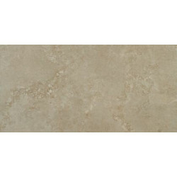 EVOLUTION VISON NATURAL (-8431940189180-) 59,55x119,3 Керамогранит