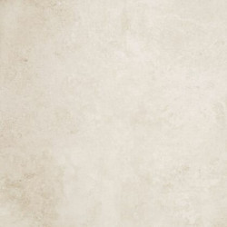 EVOLUTION WHITE NATURAL (-8431940222542-) 59,55x59,55 Керамогранит