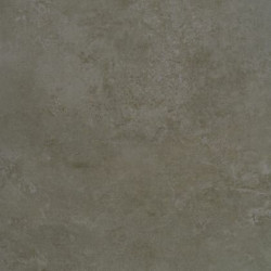 EVOLUTION MOSS NATURAL (-8431940222627-) 59,55x59,55 Керамогранит