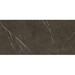 PIETRA GREY POLISHED (-8431940311659-) 119,3x260 Керамогранит