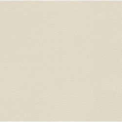 RENDERING MARFIL NATURAL (-8431940168994-) 59,55x59,55 Керамогранит