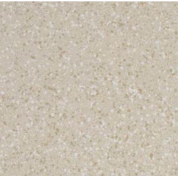 TERRATEC BEIGE LAPPATO (-8431940258176-) 59,55x59,55 Керамогранит