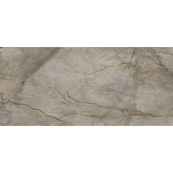 WILD FOREST GREY POL MIX (-8431940348501-) 119,3x260 Керамогранит