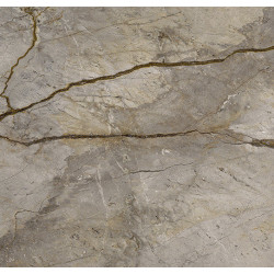 WILD FOREST GREY NAT MIX (-8431940348624-) 119,3x119,3 Керамогранит