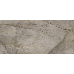 WILD FOREST GREY POL BL-A (-8431940350399-) 119,3x260 Керамогранит