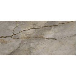 WILD FOREST GREY POL BL-B (-8431940350436-) 119,3x260 Керамогранит