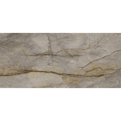 WILD FOREST GREY POL BL-C (-8431940350474-) 119,3x260 Керамогранит