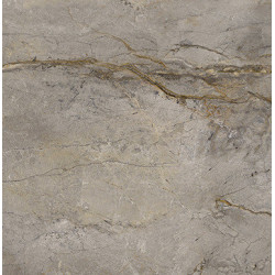 WILD FOREST GREY PULIDO (-8431940349010-) 59,55x59,55 Керамогранит