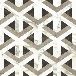 WILD FOREST DECOR PULIDO (-8431940351570-) 59,55x59,55 Керамогранит