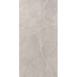 AVENUE GRIS (8421) 60x30 Керамогранит