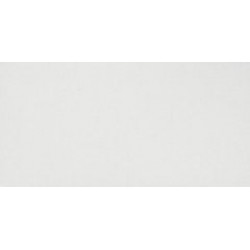 Solid White Matt 50x110 (4DWM) 50X110 Керамическая плитка