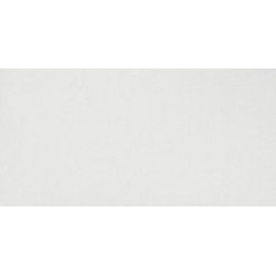 Solid  White Matt  30,5x56 (9D5S) 30,5x56 Керамическая плитка