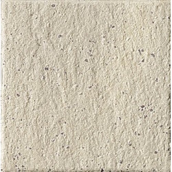 Porfido Bianco Tozzetto 5 (1TGI) 5x5 Керамогранит