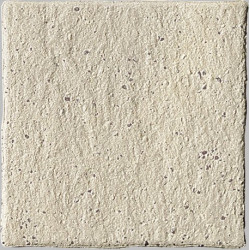 Porfido Bianco 20 (2DPi) 20x20 Керамогранит