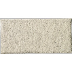 Porfido Bianco 15x30 (6DTI) 15,25x30,5 Керамогранит