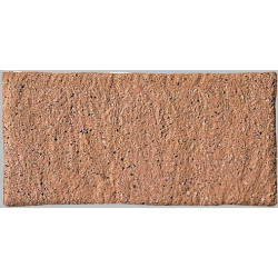 Porfido Rosa 15x30 (6DTO) 15,25x30,5 Керамогранит