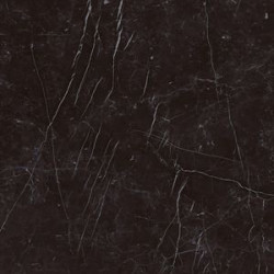 Marvel Nero Marquina 60x60  (AZQW) 60x60 Керамогранит