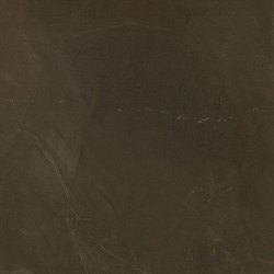 Marvel Bronze Luxury 75 (ASCI) 75x75 Керамогранит. Новый артикул
