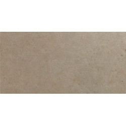 Seastone Greige 45x90 (8S02) 45x90 Керамогранит Снято с производства
