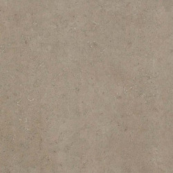 Seastone Greige 60 (8S23) 60x60 Керамогранит