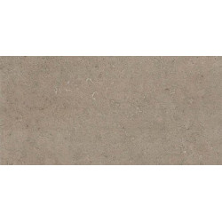 Seastone Greige 30x60 (8S33) 30x60 Керамогранит. Старый артикул