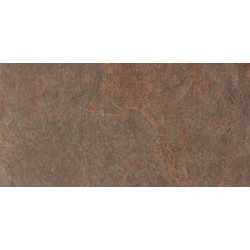 Trek Forest Brown 30x60 (ARMV) 30x60 Керамогранит