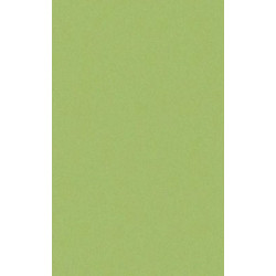 ARCH.ACID GREEN (3040012) 45x90 Керамогранит