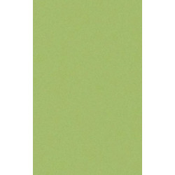 ARCH.ACID GREEN ANTIBACTERIAL (3045712) 45x90 Керамогранит