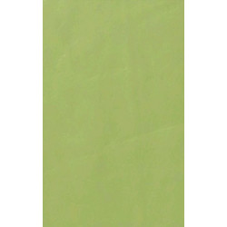 ARCH.ACID GREEN GLOSS (3046412) 45x90 Керамогранит