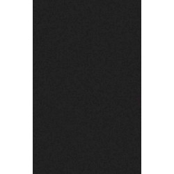 ARCH.BLACK (4040048) 45x90 Керамогранит