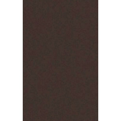 ARCH.DARK BROWN (4040051) 45x90 Керамогранит