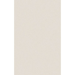 ARCH.WHITE (4040052) 45x90 Керамогранит