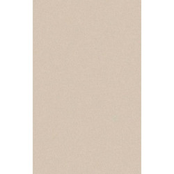 ARCH.DARK IVORY (4040056) 45x90 Керамогранит